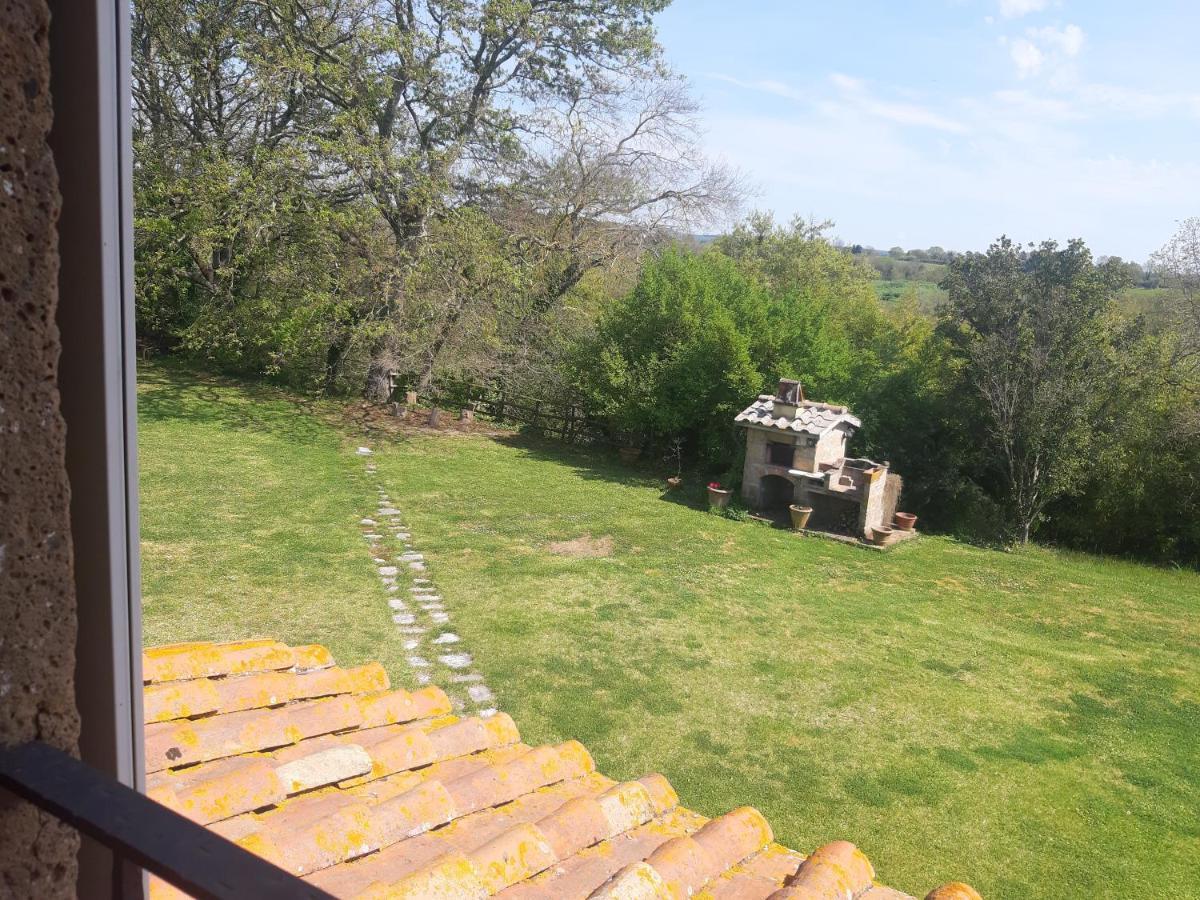 Poggio Dell'Olivo Vila Pitigliano Exterior foto