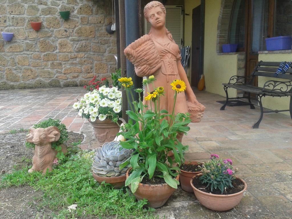 Poggio Dell'Olivo Vila Pitigliano Exterior foto