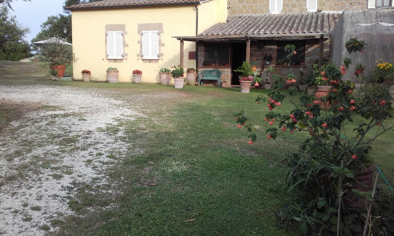 Poggio Dell'Olivo Vila Pitigliano Exterior foto