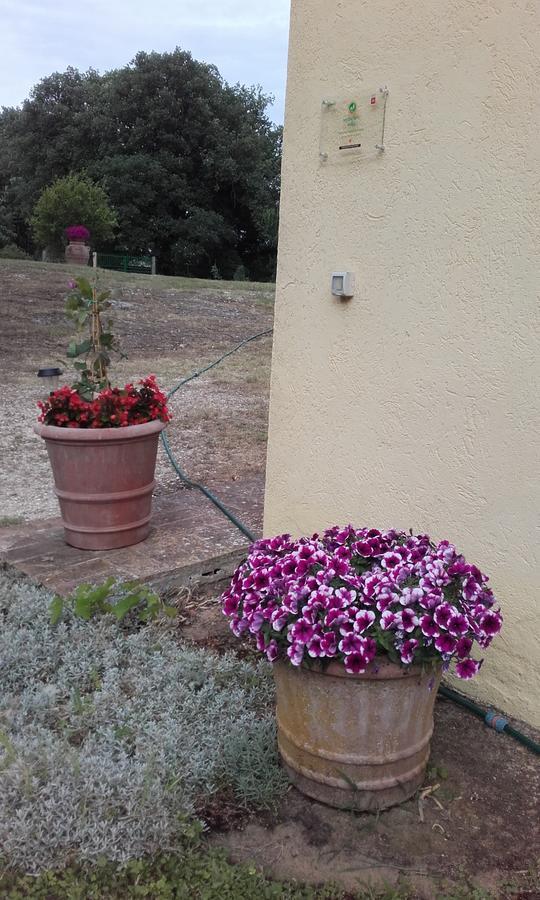 Poggio Dell'Olivo Vila Pitigliano Exterior foto